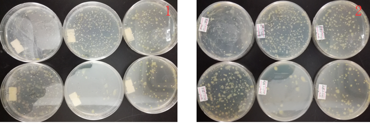 “超聲波處理對(duì)稻谷表面微生物的影響”發(fā)表論文啦！！