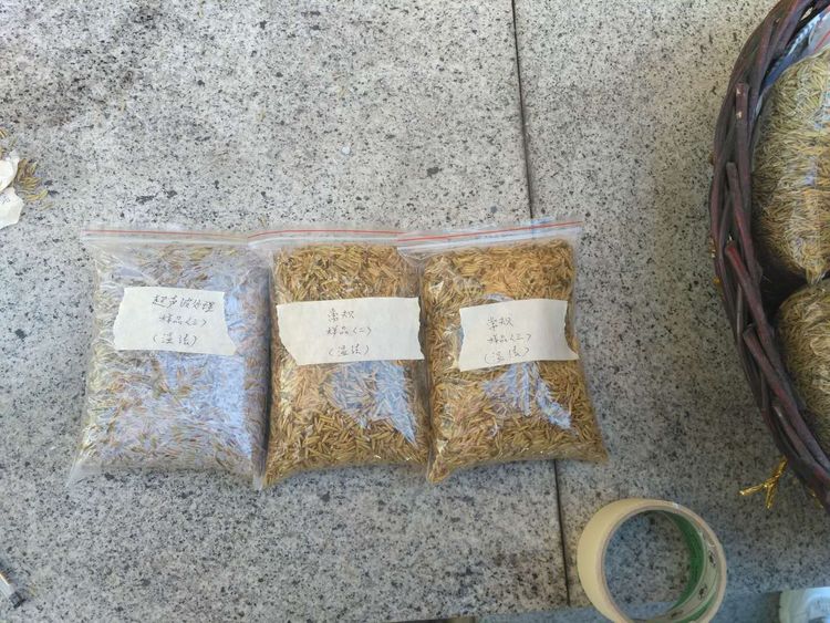 “超聲波處理對稻谷表面微生物的影響”發表論文啦??！