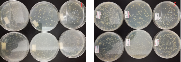 “超聲波處理對(duì)稻谷表面微生物的影響”發(fā)表論文啦！！