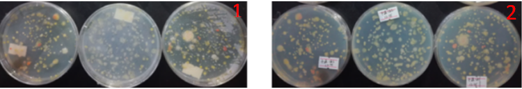“超聲波處理對(duì)稻谷表面微生物的影響”發(fā)表論文啦！！